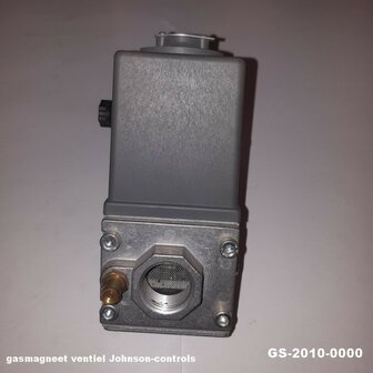 gs-2010000(1)