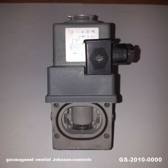 gs-2010000(2)