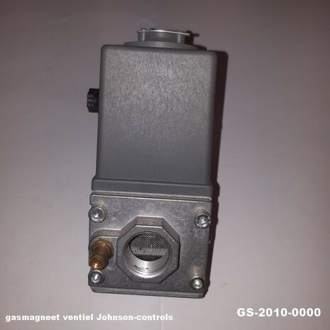 gs-2010000(1)