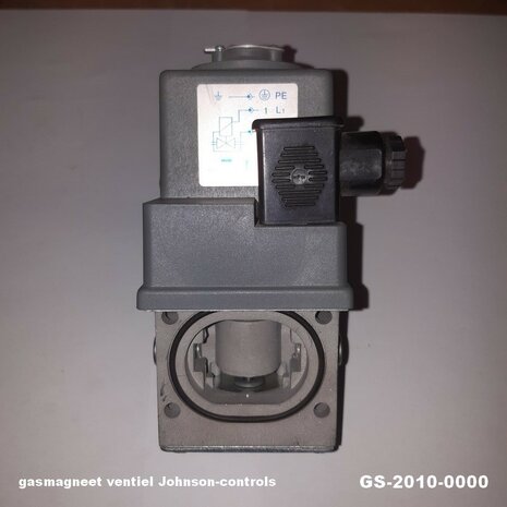 gs-2010000(2)