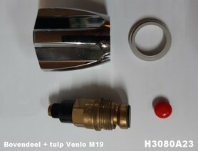 Bovendeel Venlo tulp